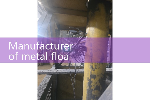 Manufacturer of metal float flowmeter